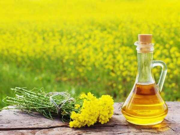 Mustard oil is a natural oil commonly used for cooking - Image 4